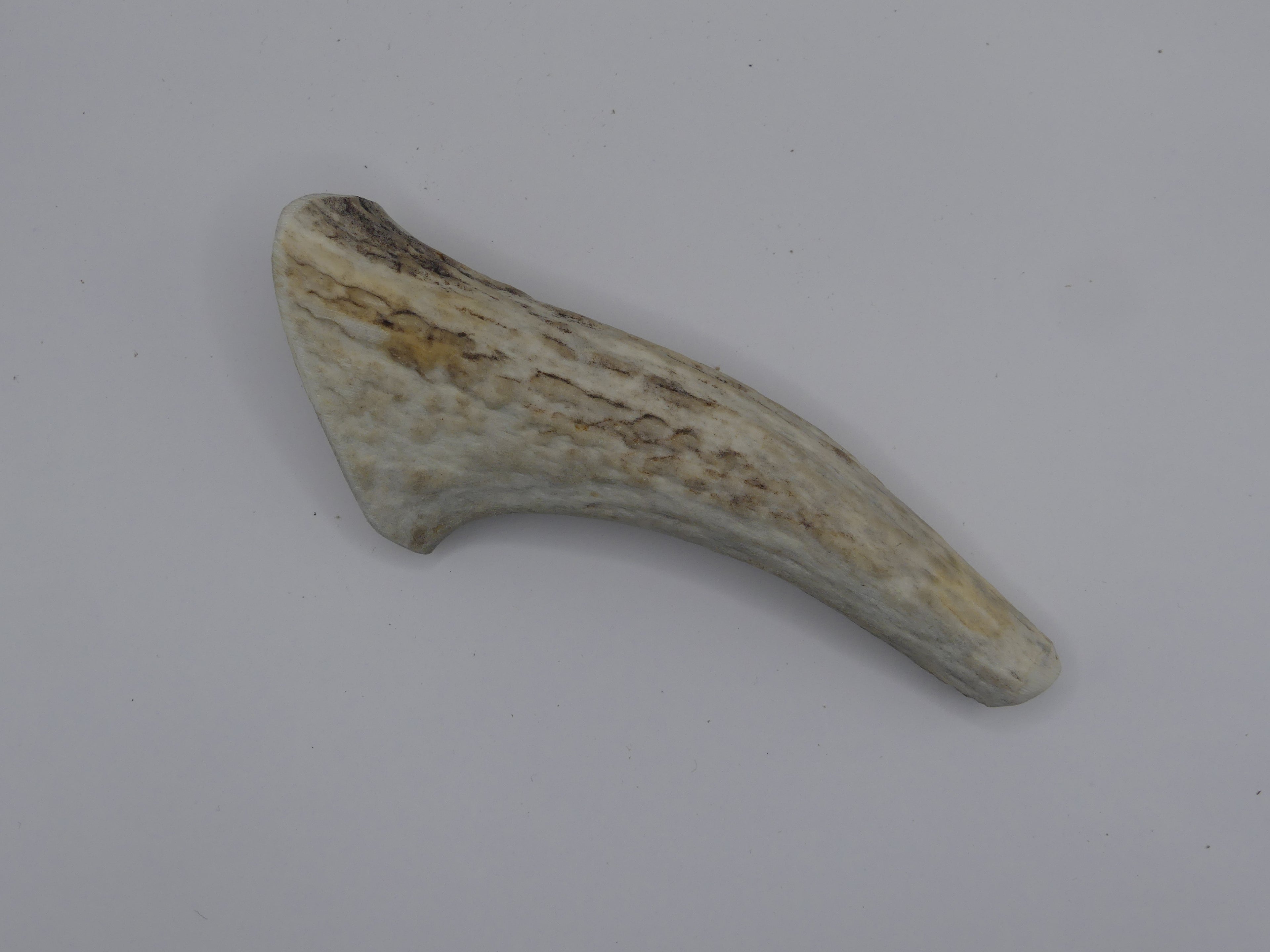 Bois de cerf - S