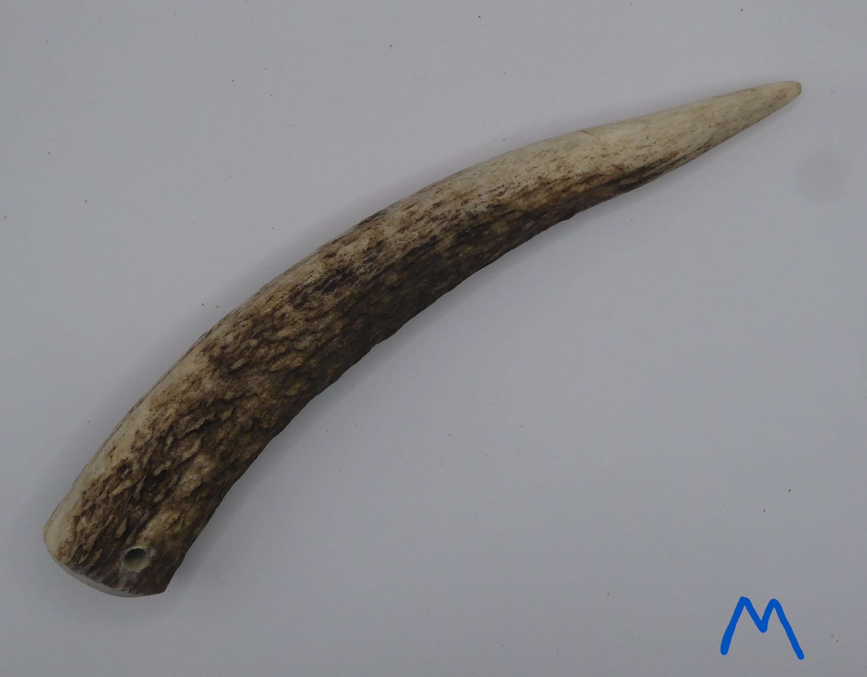 Bois de cerf - M