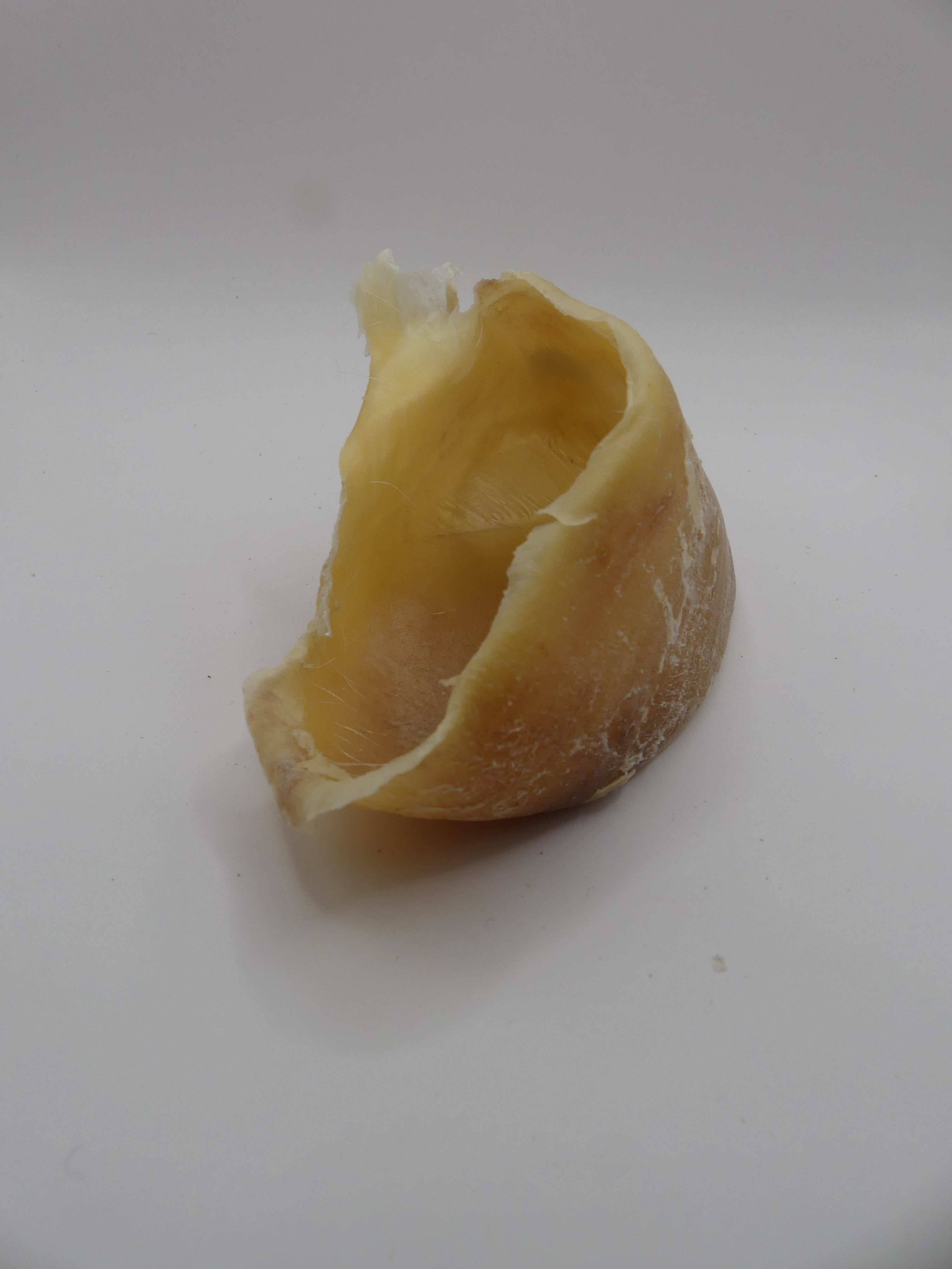 Sabot de veau
