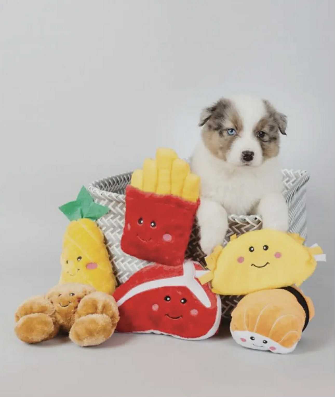 Taco - jouet fouille